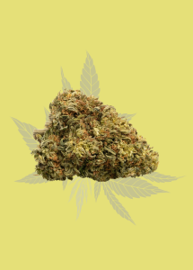 Fleurs de CBD Critical Kush