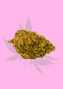 Fleurs de CBD Girl Scout Cookies